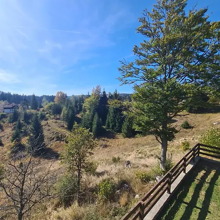 Case de vacanță Vikendica Nina